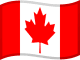 Bandeira do País